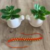 Bead Pattern Rakhi