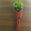 Plant Hanger Pod