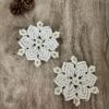 Snowflake Coaster (Set of 2)